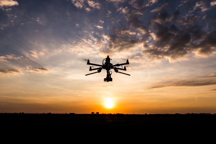 Drones helpen bedreigde weidevogels in Brabant